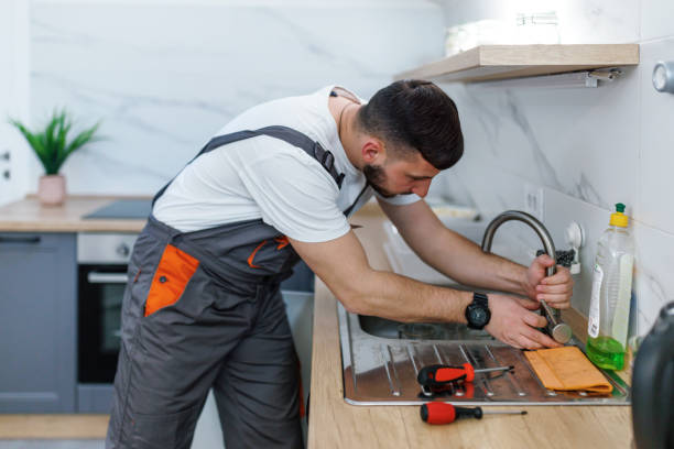 Best Local Plumber Services  in Berryville, TX
